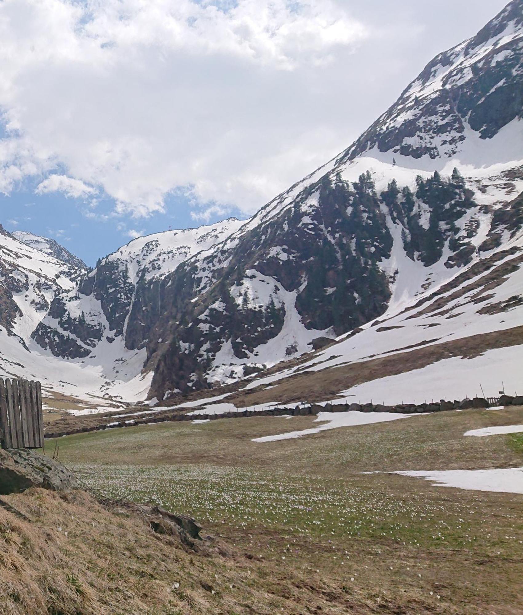 Landhaus Susanne Нойштифт-им-Штубайталь Экстерьер фото
